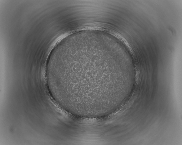 X0000110870882200907021434