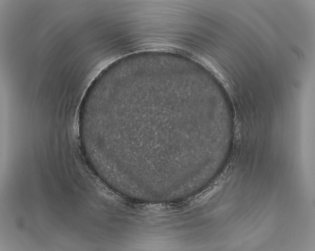 X0000110870883200907021434