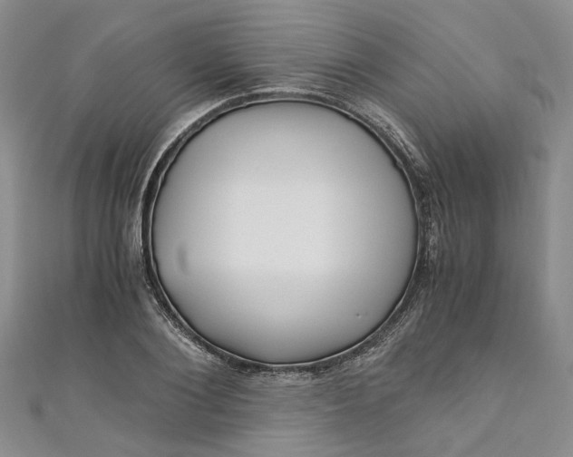 X0000110870884200907021434