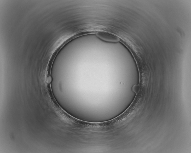 X0000110870885200907021434