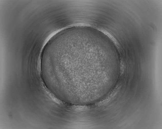 X0000110870886200907021434