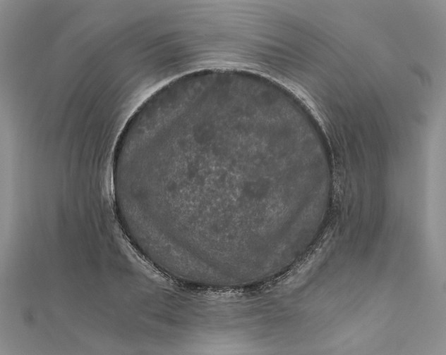 X0000110870887200907021434