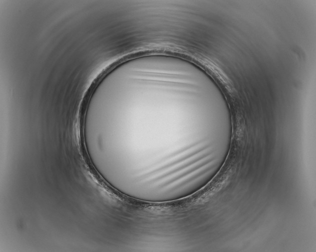 X0000110870888200907021434