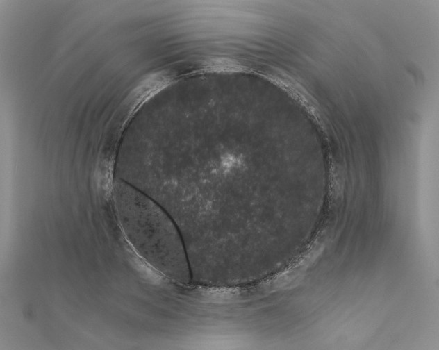 X0000110870889200907021434