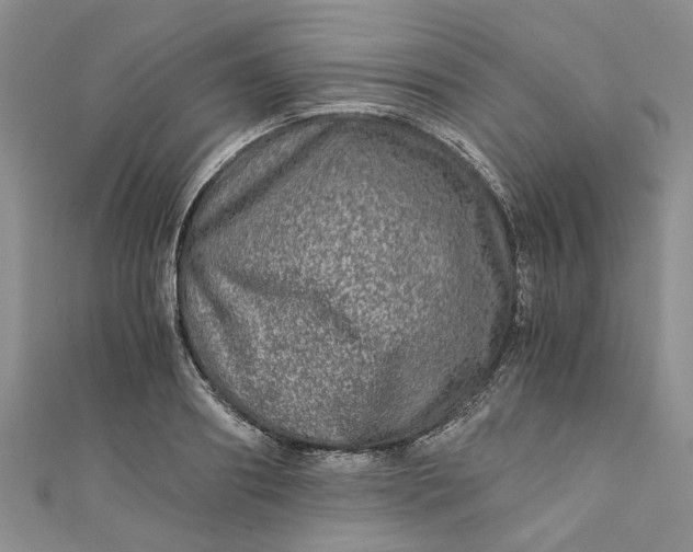 X0000110870890200907021434