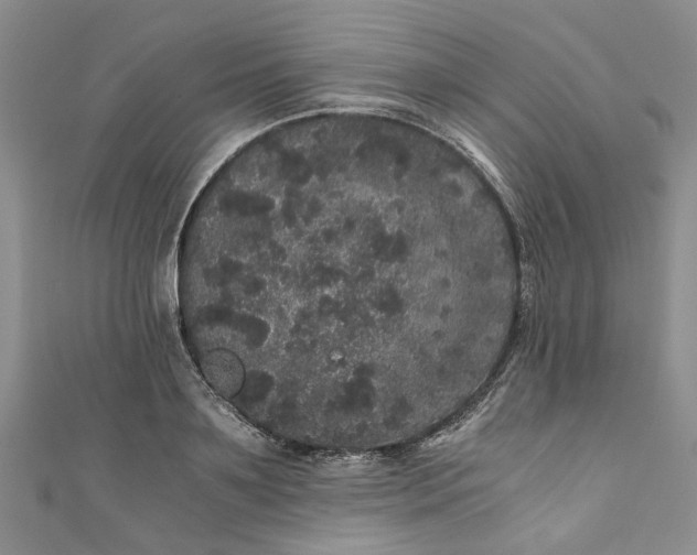 X0000110870891200907021434