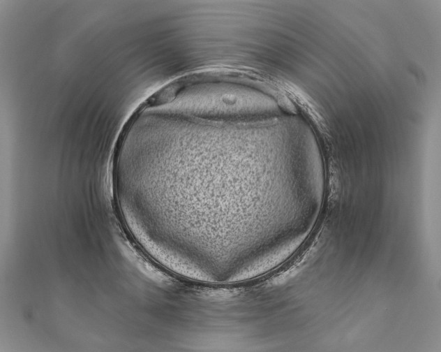 X0000110870892200907021434