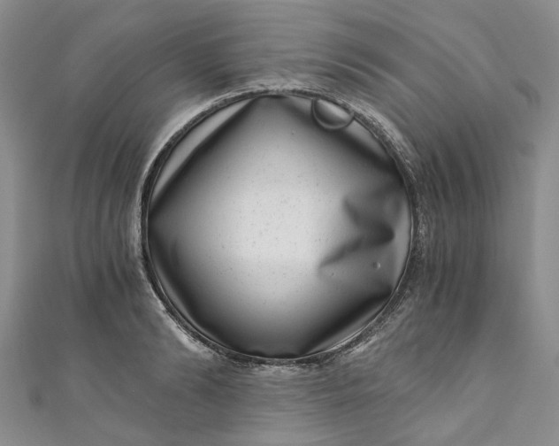 X0000110870894200907021434