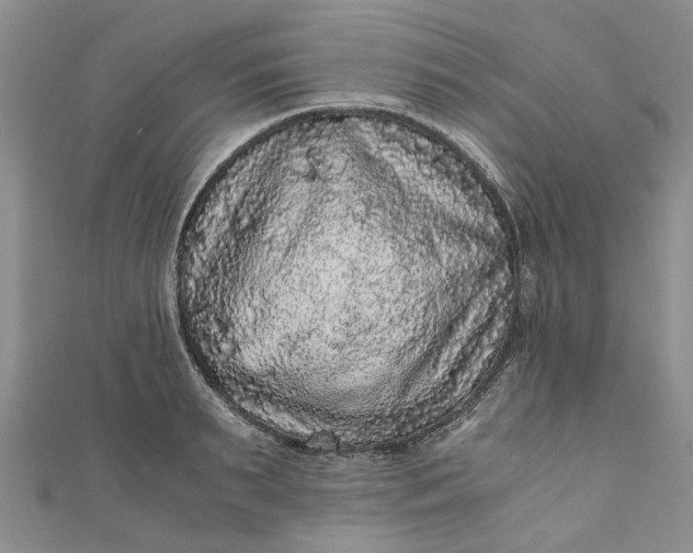 X0000110870895200907021434