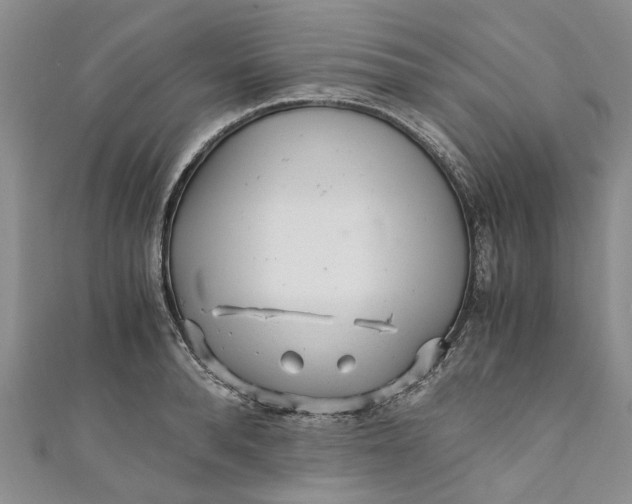 X0000110870896200907021434