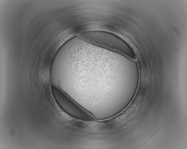 X0000110870897200907021434