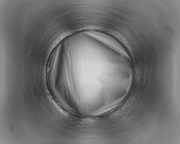 X0000110870898200907021434