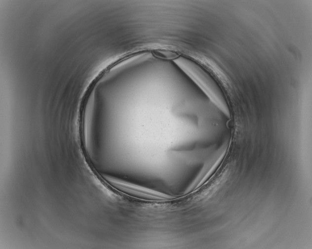 X0000110870902200907021434