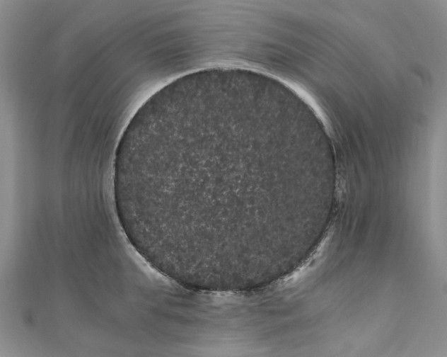 X0000110870903200907021434