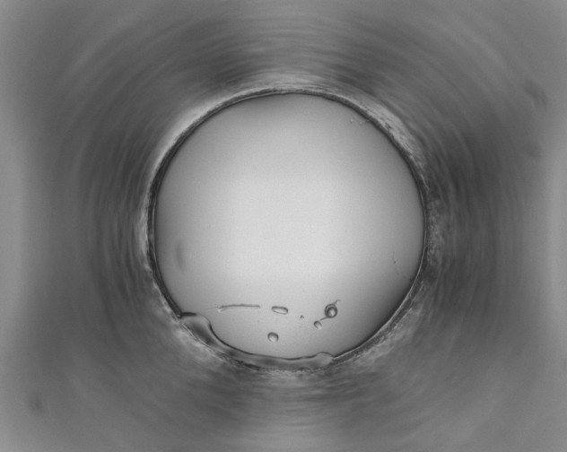 X0000110870904200907021434