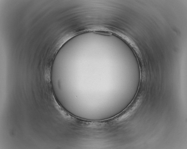 X0000110870905200907021434