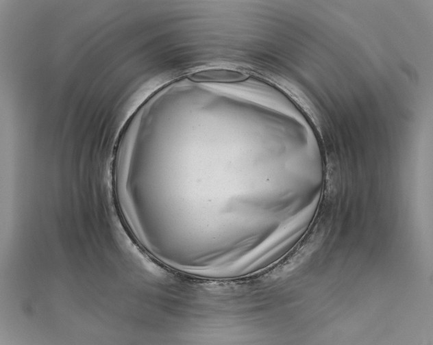 X0000110870906200907021434