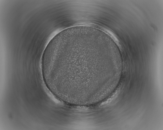 X0000110870907200907021434