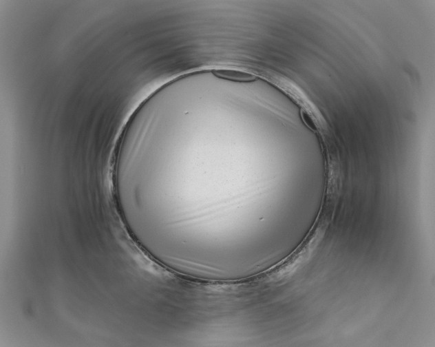 X0000110870908200907021434