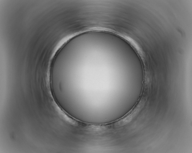 X0000110870910200907021434