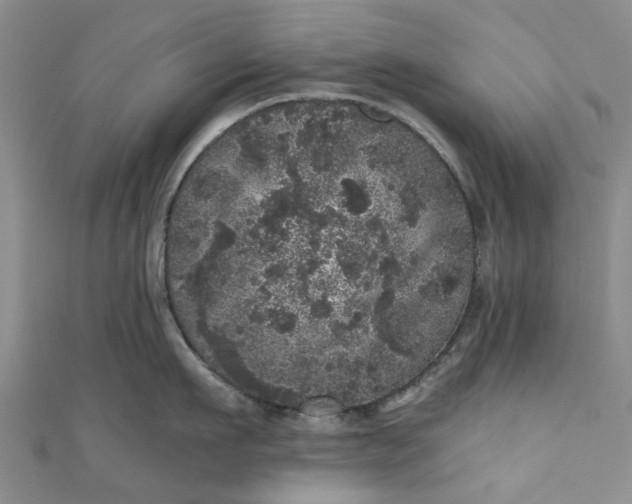 X0000110870911200907021434