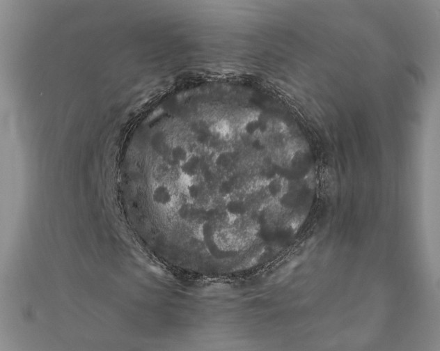 X0000110870913200907021433