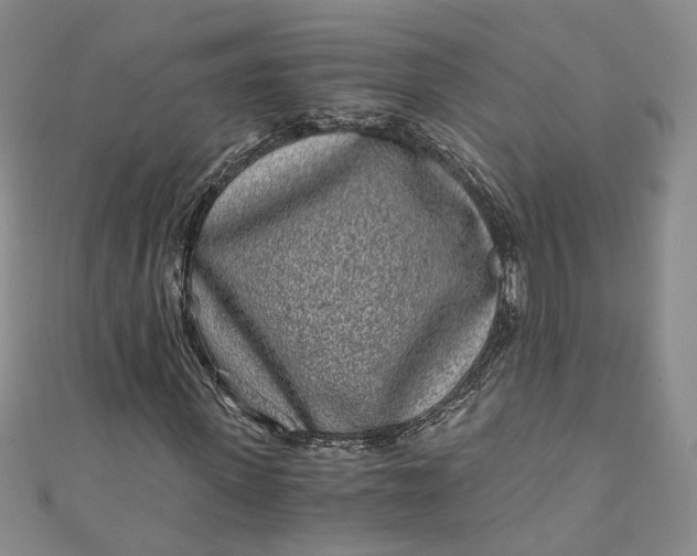 X0000110870915200907021433