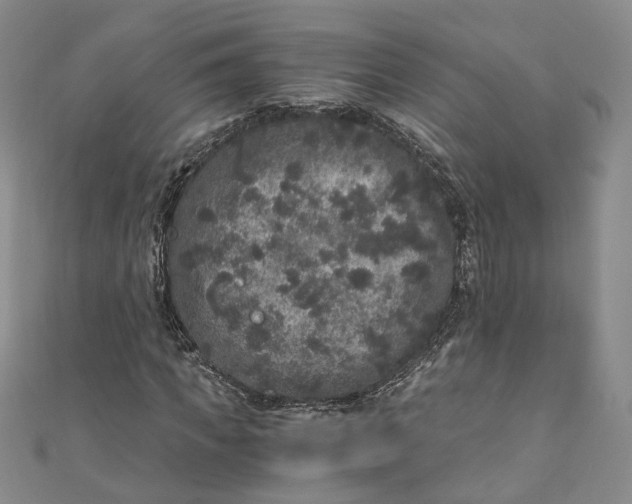 X0000110870917200907021433