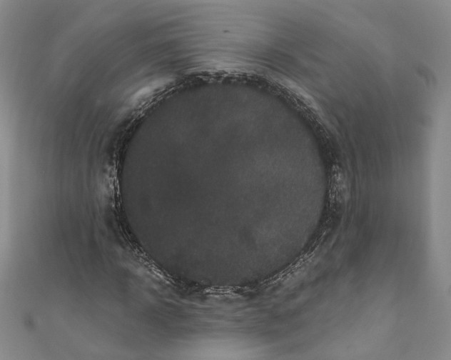 X0000110870918200907021433