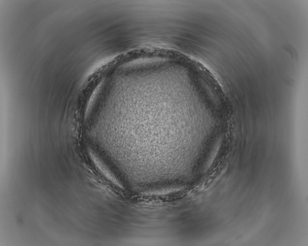 X0000110870919200907021433