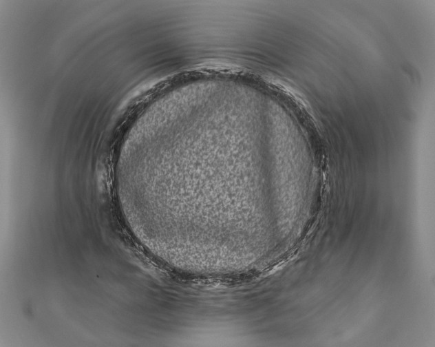 X0000110870920200907021433