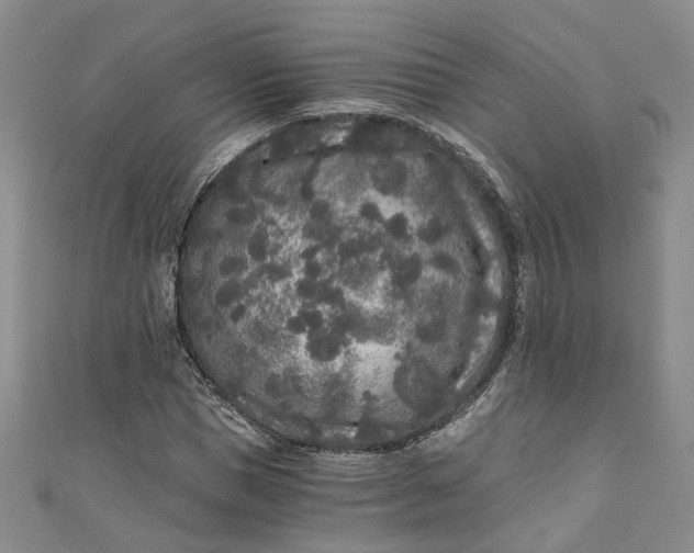 X0000110870921200907021433