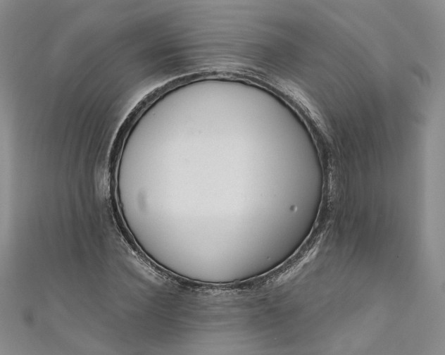 X0000110870924200907021433