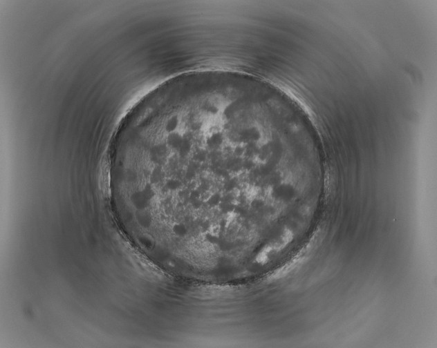 X0000110870925200907021433