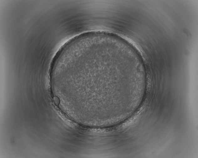 X0000110870927200907021433