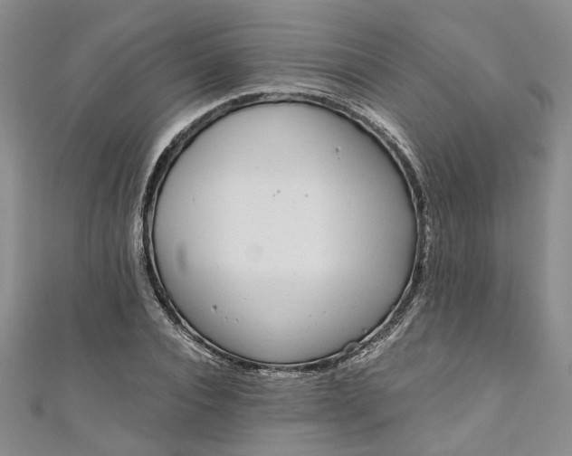 X0000110870928200907021433