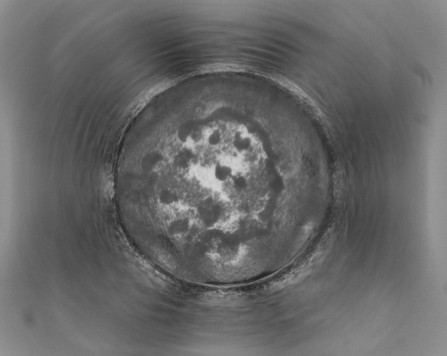 X0000110870929200907021433