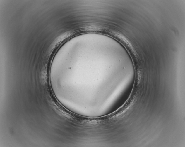 X0000110870930200907021433