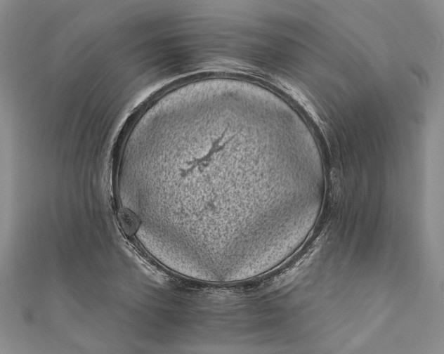 X0000110870931200907021433