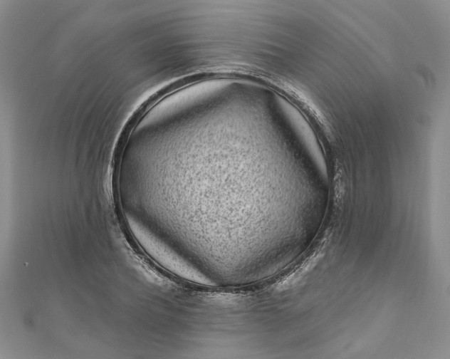 X0000110870932200907021433