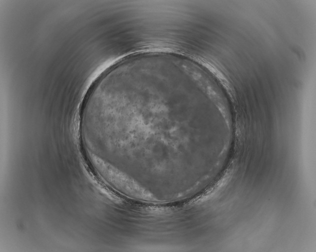 X0000110870933200907021433