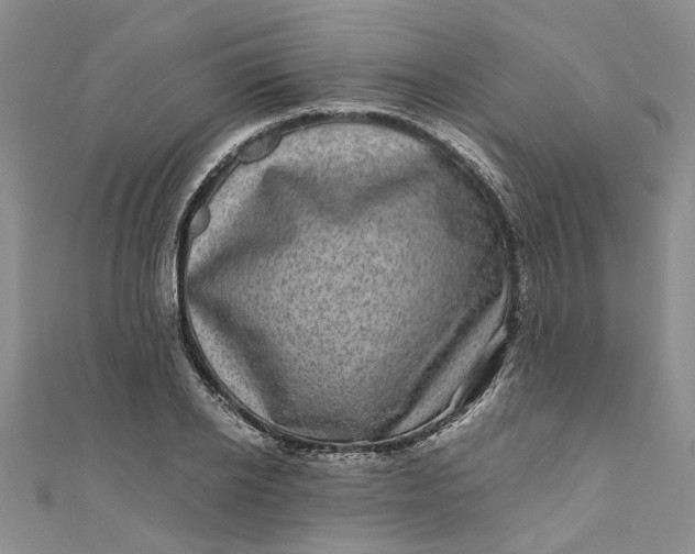 X0000110870934200907021433