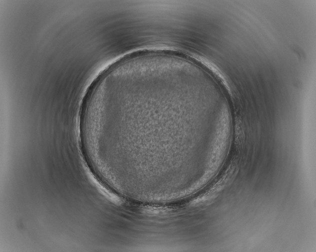 X0000110870935200907021433