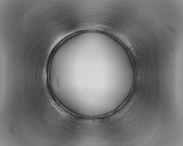 X0000110870936200907021433