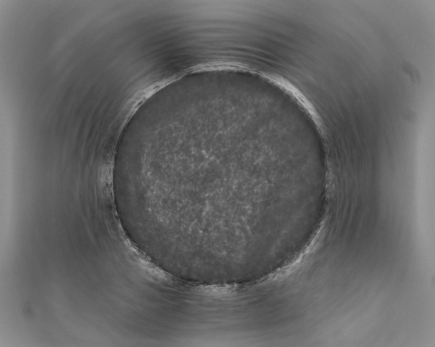 X0000110870937200907021433