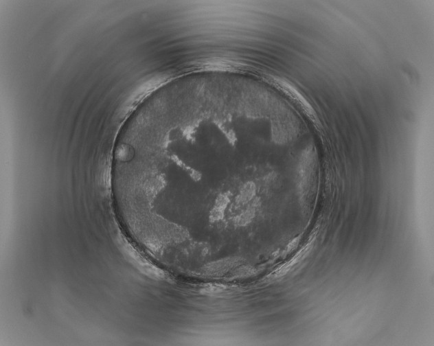 X0000110870938200907021433