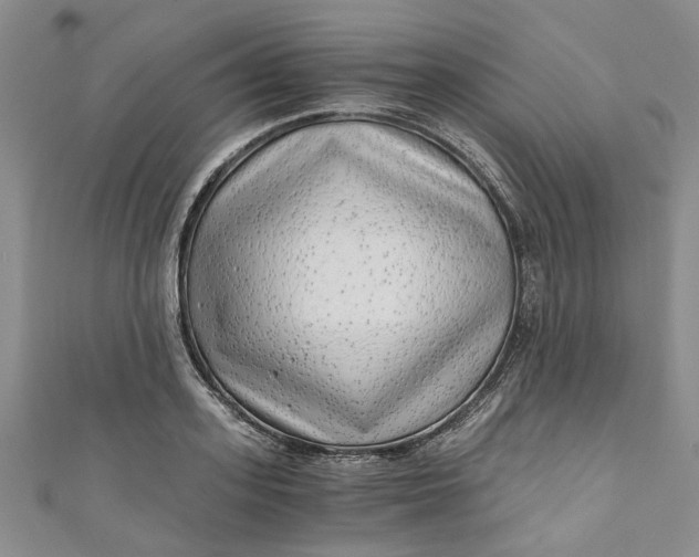 X0000110870939200907021433