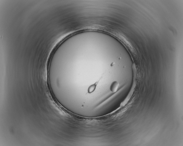 X0000110870940200907021433