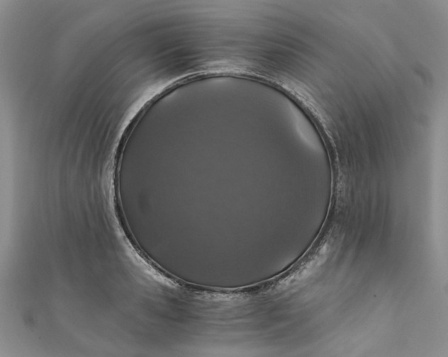 X0000110870941200907021433