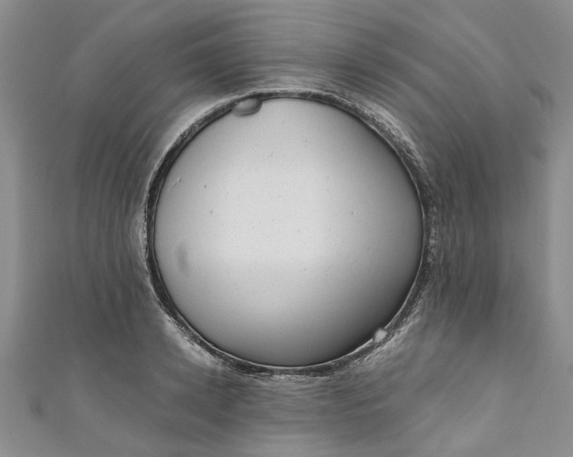 X0000110870942200907021433